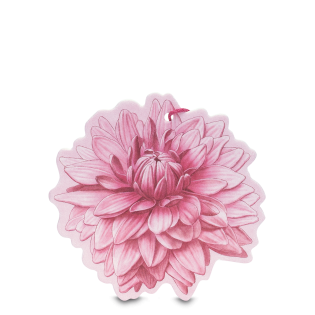 Fiore Profumato Sfumature di Dalia