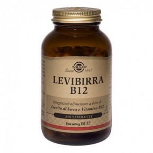 Levibirra B12