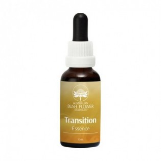 Transition 30 Ml