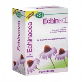 Echinaid 60 Naturcaps