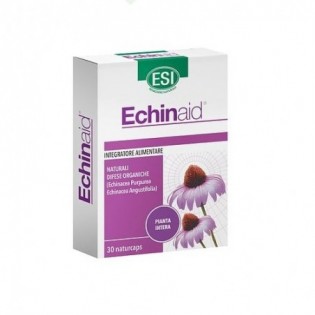 Echinaid 30 Naturcaps