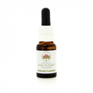 Autumn Leaves 15 Ml