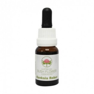 Banksia Robur 15 Ml