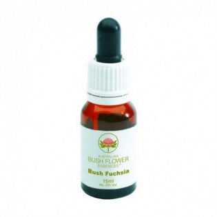 Bush Fuchsia 15 Ml