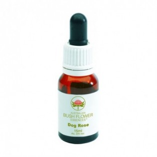 Dog Rose 15 Ml