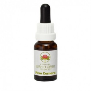 Five Corners 15 Ml