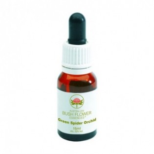 Green Spider Orchid 15 Ml