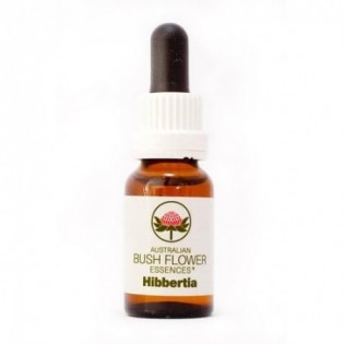 Hibbertia 15 Ml