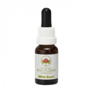 Mint Bush 15 Ml