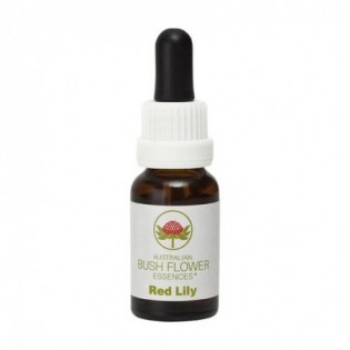 Red Lily 15 Ml