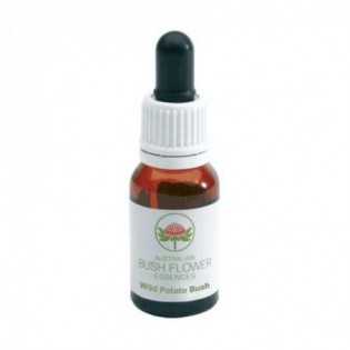 Wild Potato Bush 15 Ml