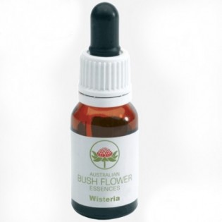 Wisteria 15 Ml