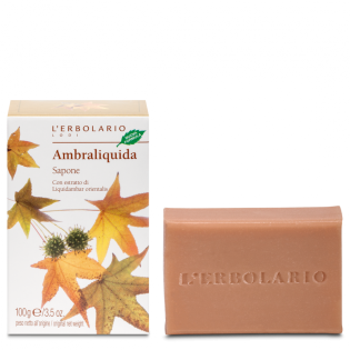 Sapone Ambraliquida