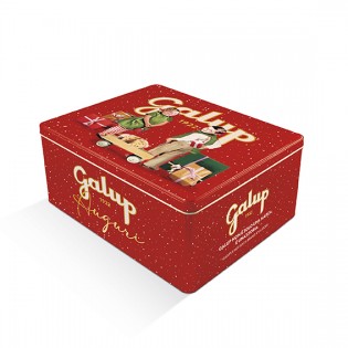 Panettone Gran Galup 1kg con Tombola
