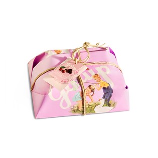 Colomba Amarena e gocce di cioccolato 750g