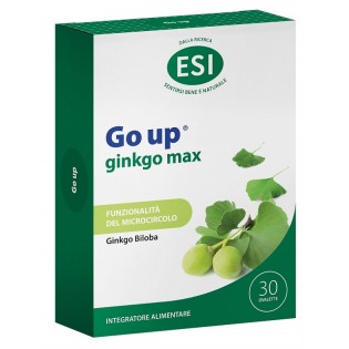 Go Up ginkgo max 30 Ovalette