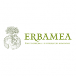 Erbamea