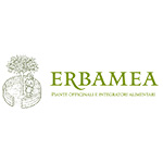 Erbamea