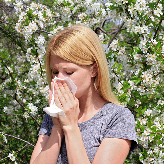 Allergie | Erboristeria Il Girasole Ravenna