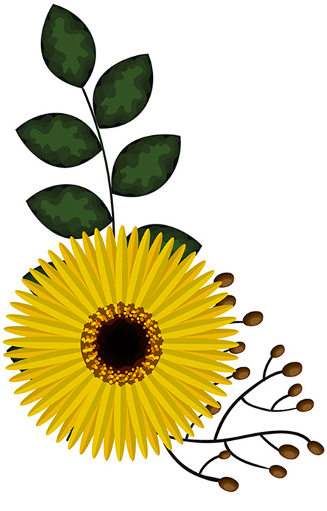 sunflower-2.jpg