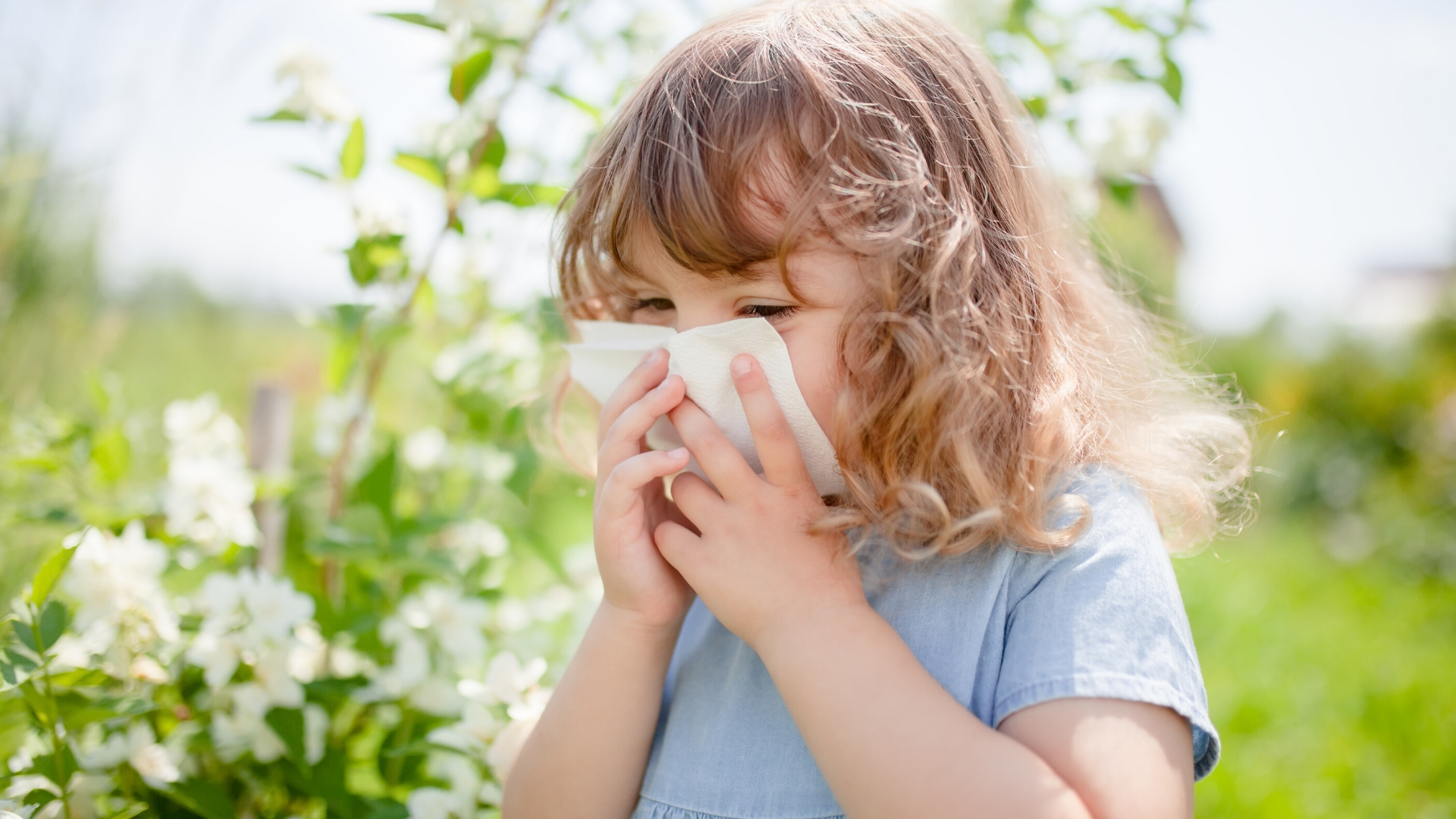 Come prevenire e curare le allergie primaverili? | Erboristeria Il Girasole Ravenna